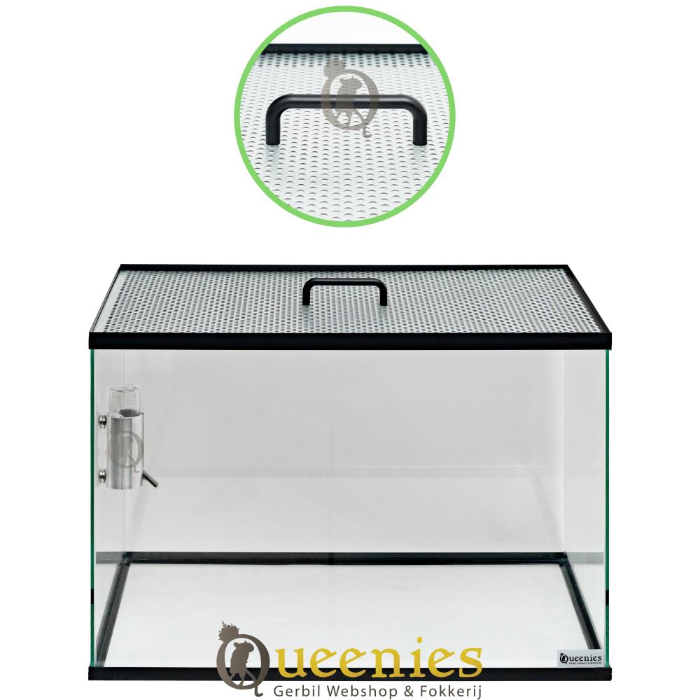 Glazen terrarium met veilige deksel voor katten